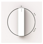 BJ Zentralscheibe         2542 DR/02-44G 