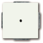 BJ Blindzentralscheibe 1742-884 1742-884 