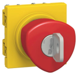 Legrand 076601 Not-Aus Schlüssel 