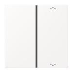 Jung Taste 1f            LS 401 TSAP WWM 