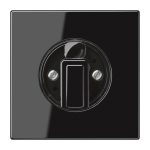 JG Abdeckung f. Drehschalter    LS1941SW 