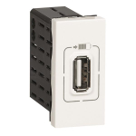 Legrand 077591 USB-Lademodul 1-fach 