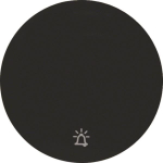 Berker Wippe m. Aufdruck Symbol 16202025 