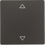 Berker Wippe m. Aufdruck Symbol 16206076 