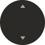 Berker Wippe m. Aufdruck Symbol 16202005 