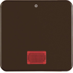 BER UPWG Wippe Kontroll           155801 