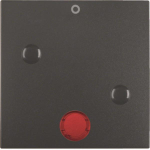 Berker Wippe anschraubbar       15771606 