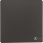 Berker Wippe m. Aufdruck Symbol 16206066 