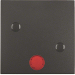 Berker Wippe anschraubbar       15721606 