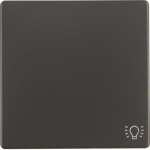 Berker Wippe m. Aufdruck Symbol 16206046 