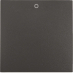 BER S1 Wippe Aus 2- und 3polig  16221606 