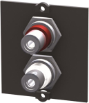 Bachmann Rahmen 1xCinch Stereo   917.022 