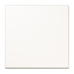 Jung Steuertaste Std.           LS1700WW 