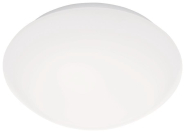 STEIN Sensorleuchte RS PRO LED P2 WW EM 