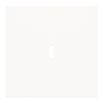 BJ Zentralscheibe USB C Power   6479-44G 