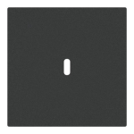 BJ Zentralscheibe USB C Power   6479-45M 