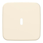 BJ Zentralscheibe USB C Power   6479-212 