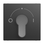 BJ Zentralscheibe      2557 SLPZ-915-101 