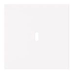 BJ Zentralscheibe USB C Power   6479-44M 