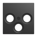 BJ Zentralscheibe Koax       1743-03-915 