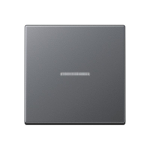 JG Wippe f.Schalter/      A590BFKO5ANM 