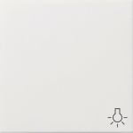 GIRA 0285112 Wippe Symbol Licht 