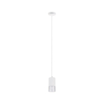 Paulmann LED Pendelleuchte         79998 