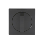 BJ Zentralscheibe Drehs.    2542DR/02-81 