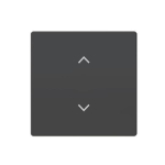 BJ Wippe 1-fach m.Symbol     6735-11-885 