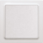 Eltako                        F2T55EH-wg 