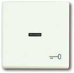 BJ Wippe f. Kontrollschalter 1789 TR-884 