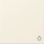 GIRA 328501 Wippe Symbol Licht System 55 