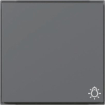 GIRA 328567 Wippe Symbol Licht TX_44 