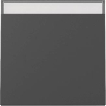 GIRA 3299005 Wippe Beschriftungsfeld 