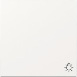 GIRA 328503 Wippe Symbol Licht System 55 