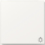 GIRA 328566 Wippe Symbol Licht TX_44 