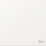 GIRA 328770 Wippe Symb.Tür 