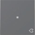 GIRA 329128 Wippe Kontrollfenster+Symbol 