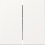 GIRA 329503 Wippe 2fach System 55 