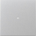 GIRA 329026 Wippe Kontrollfenster 