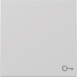 GIRA 3287015 Wippe Symbol Tür System 55 