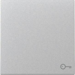 GIRA 328726 Wippe Symbol Tür System 55 