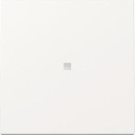 GIRA 329003 Wippe Kontrollfenster 