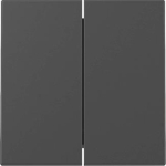 GIRA 3295005 Wippe 2fach System 55 