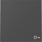 GIRA 3287005 Wippe Symbol Tür System 55 