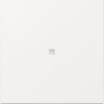 GIRA 349003 Wippe gerade Kontrollfenster 