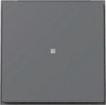 GIRA 329067 Wippe Kontrollfenster TX_44 