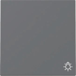 GIRA 328528 Wippe Symbol Licht System 55 