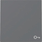 GIRA 328728 Wippe Symbol Tür System 55 