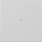 GIRA 3290015 Wippe Kontrollfenster 